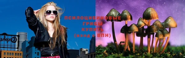 гидра Медвежьегорск