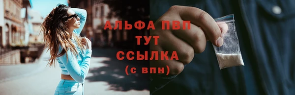 гидра Медвежьегорск