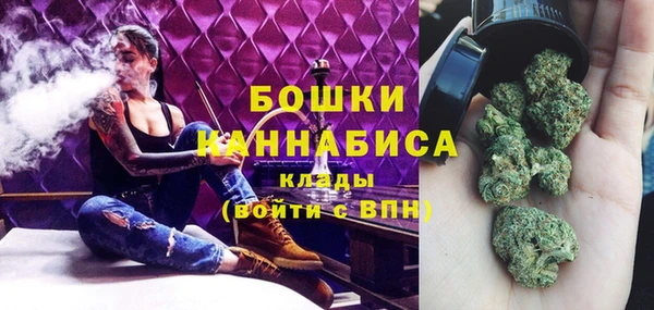гидра Медвежьегорск