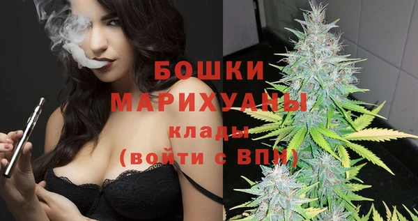 гидра Медвежьегорск