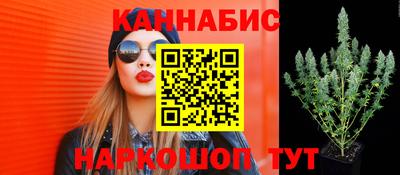 молекула духа Донской