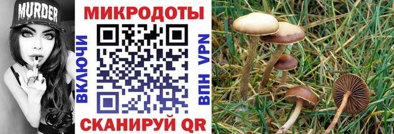 Галлюциногенные грибы MAGIC MUSHROOMS  Сокол 
