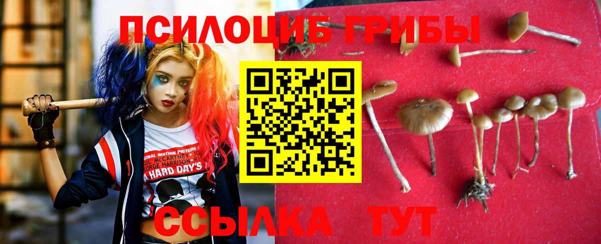 Псилоцибиновые грибы GOLDEN TEACHER  Вход с VPN  закладки  Сокол 